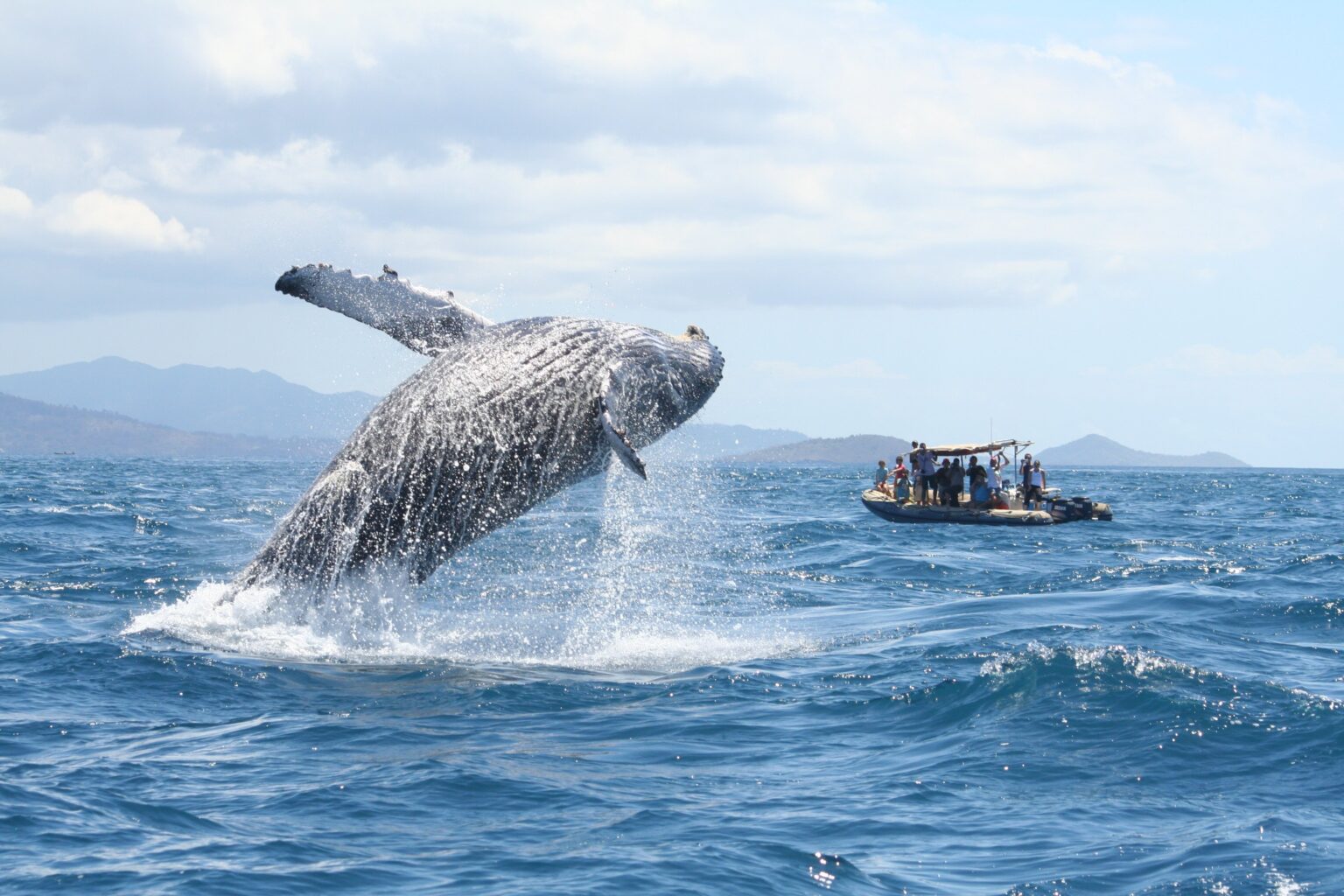 REPORTAGE ÉVASION - À la découverte de Mayotte, l'île au lagon, et ses baleines à bosse. (Photo: Jessica Pierné)