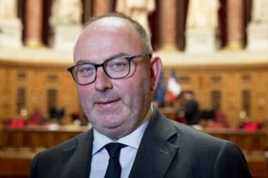 Une nouvelle loi en préparation pour autoriser un insecticide jugé toxique pour les abeilles par le sénateur Laurent Duplomb
