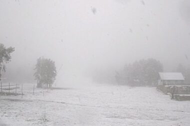 Averses, vent fort et neige en montagne : le régime océanique s’impose