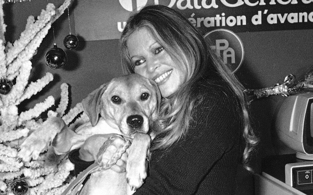 Brigitte Bardot : des obsèques «sans chi-chi», indique sa fondation. (AP)