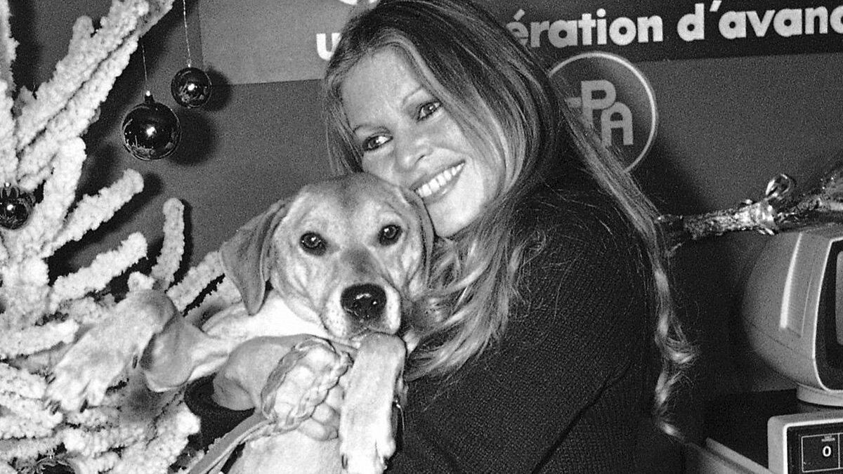 Brigitte Bardot : des obsèques «sans chi-chi», indique sa fondation. (AP)