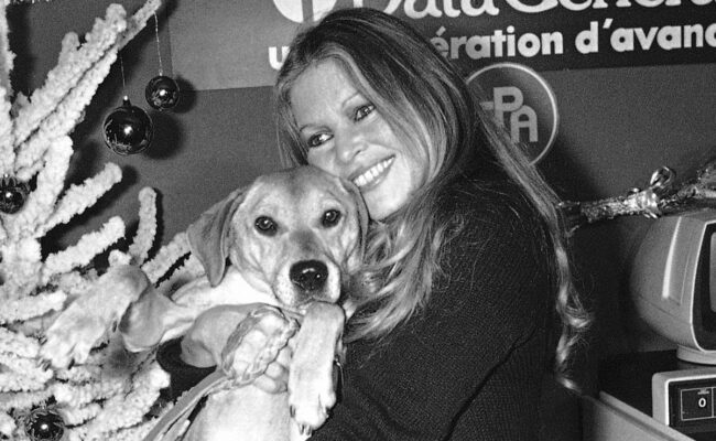 Brigitte Bardot : des obsèques «sans chi-chi», indique sa fondation