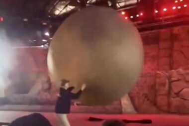VIDÉO - Un faux rocher se détache lors du spectacle&nbsp;Indiana Jones&nbsp;à Disney. Un employé sauve les spectateurs