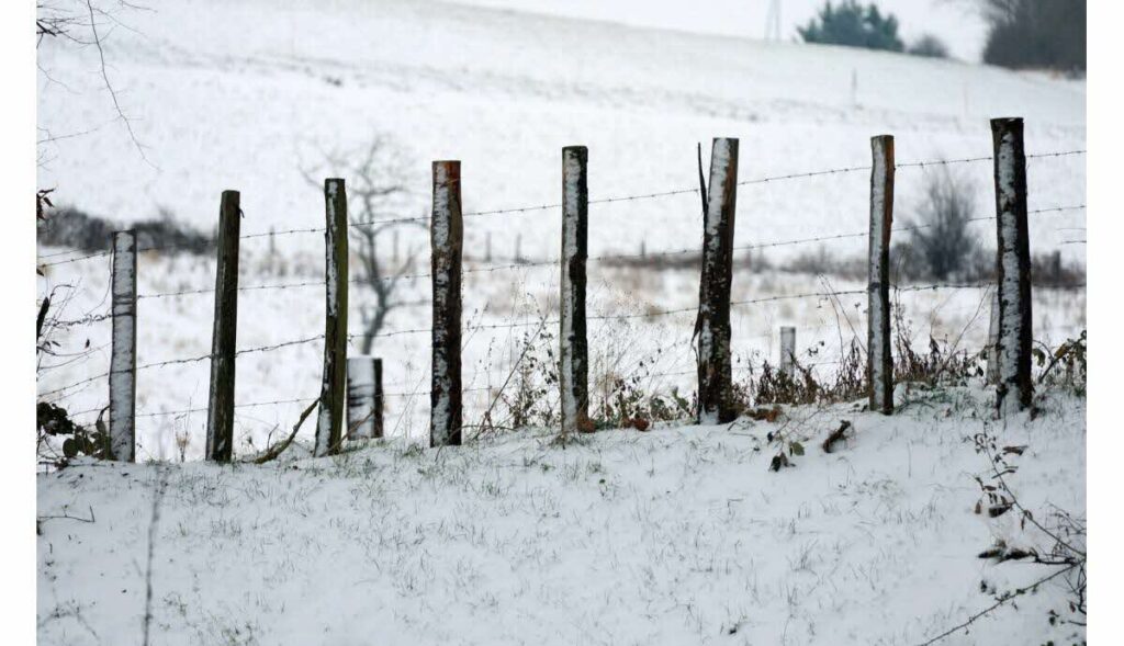 Le redoux s’impose brutalement : pluie, vent et fonte de la neige dès jeudi