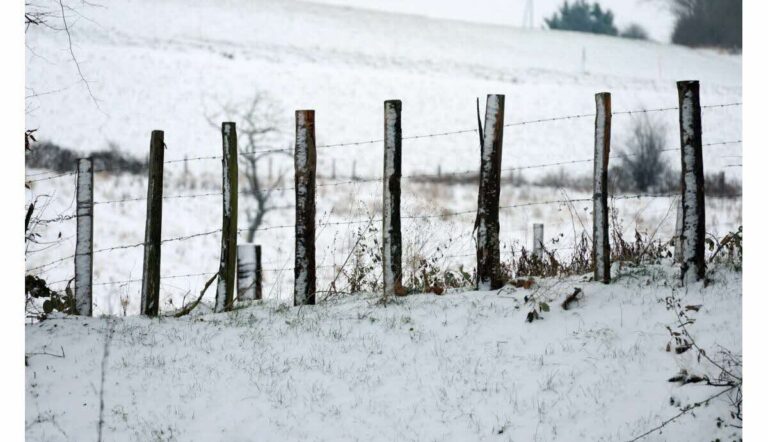 Le redoux s’impose brutalement : pluie, vent et fonte de la neige dès jeudi