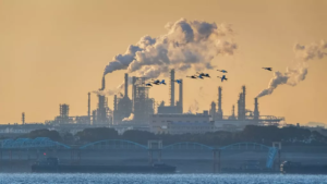 Chine : les rejets de CO₂ marquent le pas après des années de hausse