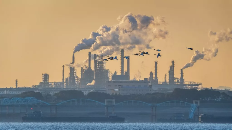 Chine : les rejets de CO₂ marquent le pas après des années de hausse