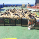 Dans le Pacifique, la France intercepte une cargaison record et détruit 2,4 tonnes de cocaïne