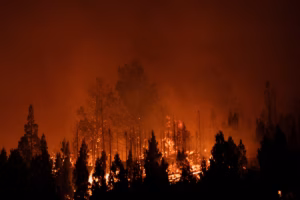 Des chaleurs record et des incendies dévastateurs marquent le début de l'année 2026 dans tout l'hémisphère sud