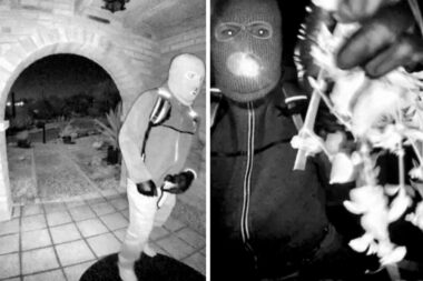 Disparition de Nancy Guthrie - l’avalanche de signalements, un défi crucial pour les enquêteurs (AP)