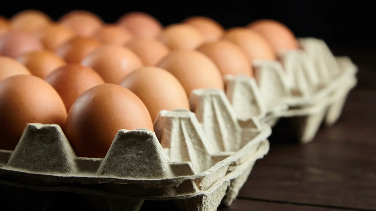 Face à l’appétit record des Français, la filière des œufs promet un retour à la normale