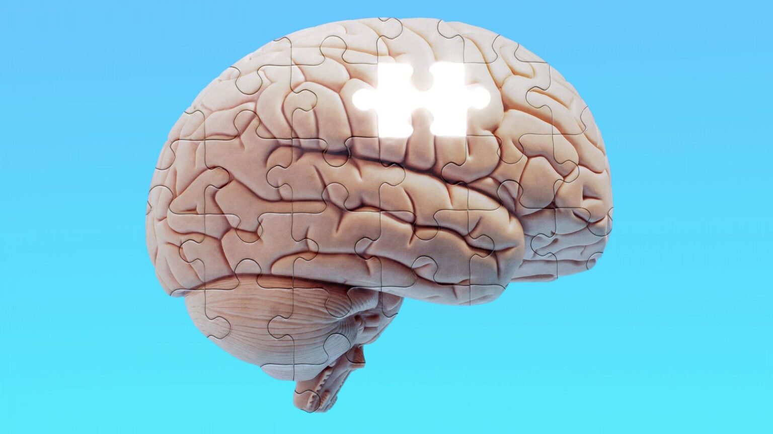 Garder une bonne mémoire - nos habitudes quotidiennes façonnent durablement nos capacités cognitives