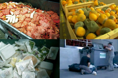 ENQUÊTE ENTREVUE - Gaspillage alimentaire: la honte ! 3,8 millions de tonnes de denrées jetées chaque année en France malgré la loi anti-gaspi. Les raisons d'une telle aberration