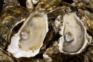 Hérault - les coquillages de l’étang de Thau à nouveau autorisés à la vente