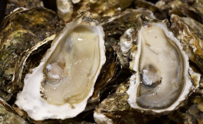 Hérault - les coquillages de l’étang de Thau à nouveau autorisés à la vente