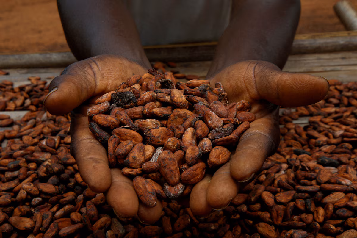 Ivory Coast will announce the mid-season cocoa price by the end of the month.
