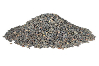 La lentille gagne du terrain dans le Nord sous l’effet du climat