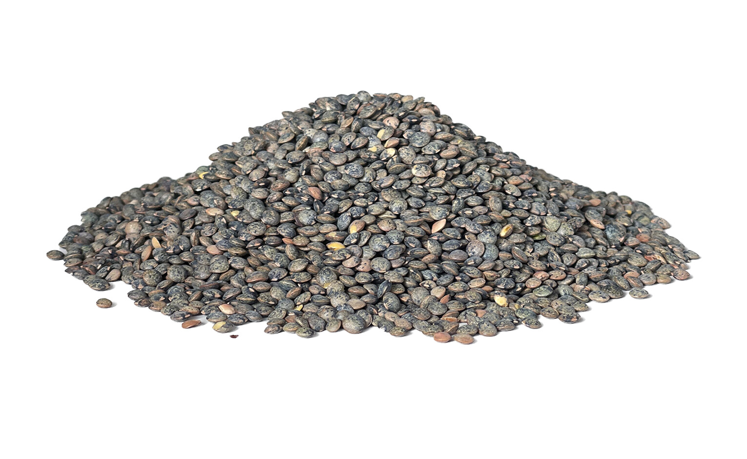 The lentil is gaining ground in the North due to the climate 