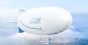 Laruscade (Gironde) - la Sepanso attaque en justice le projet Flying Whales et ses 75 hectares de déboisement