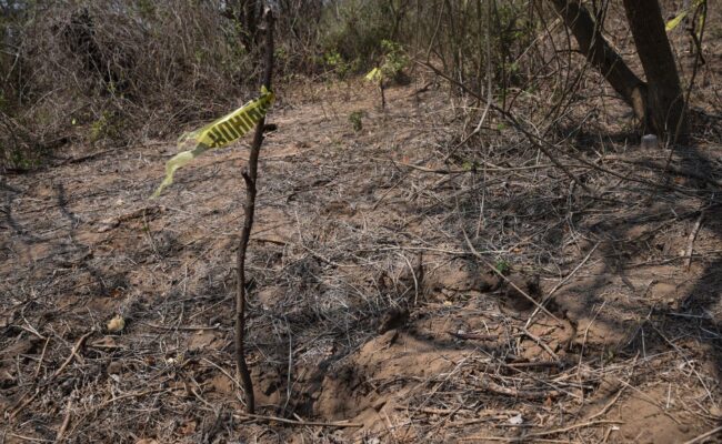 Mexique - des restes humains retrouvés, possiblement liés à l’enlèvement de dix mineurs au Sinaloa