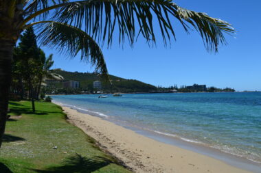Nouvelle-Calédonie : un surfeur découvert sans vie, l’hypothèse d’une attaque de requin envisagée