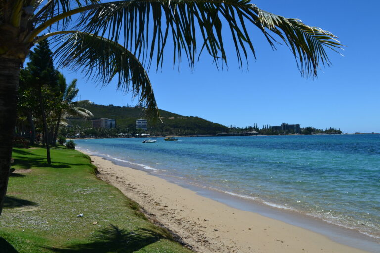 New Caledonia: Surfer found dead, shark attack suspected