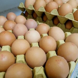 Œufs en cage : 73% des supermarchés en vendent encore, selon l'association Anima