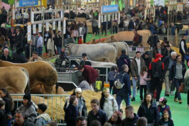 Salon de l’agriculture : quinze interpellations après une altercation entre exposants et visiteurs, un individu brandit un couteau