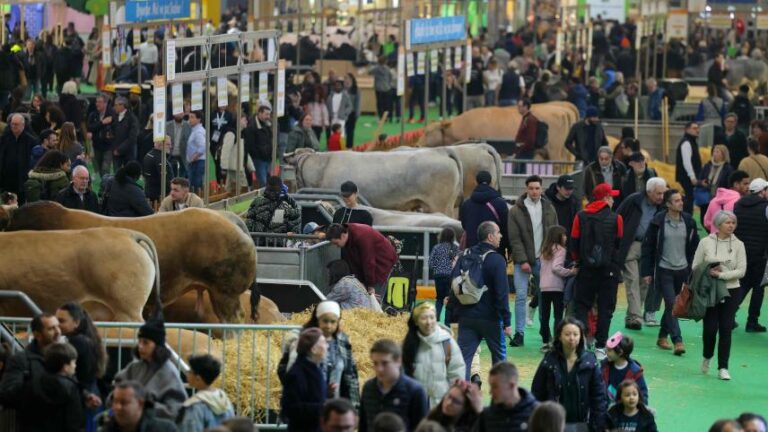 Salon de l’agriculture : quinze interpellations après une altercation entre exposants et visiteurs, un individu brandit un couteau