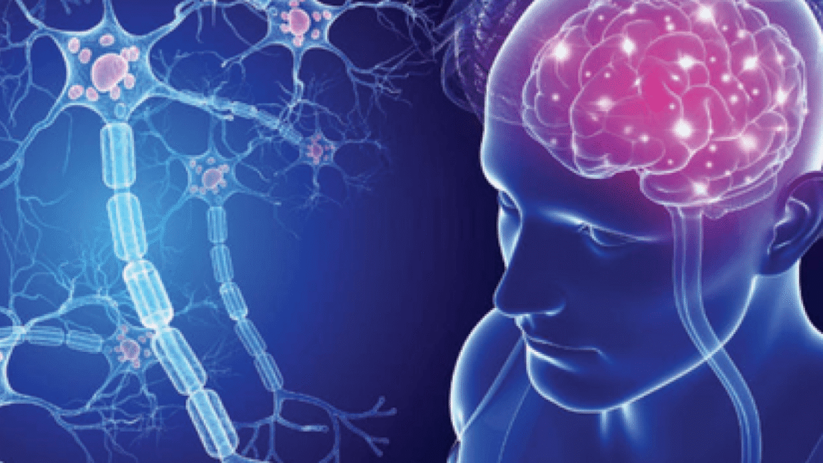 Sclérose en plaques : l’IA distingue deux trajectoires biologiques et ouvre la voie à des traitements mieux ciblés