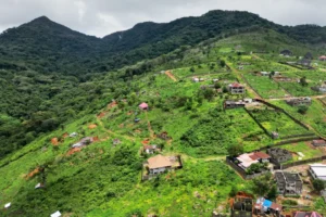 Sierra Leone : des responsables accusés d’avoir facilité la construction illégale de villas de luxe dans un parc national (ap)