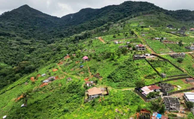 Sierra Leone : des responsables accusés d’avoir facilité la construction illégale de villas de luxe dans un parc national (ap)