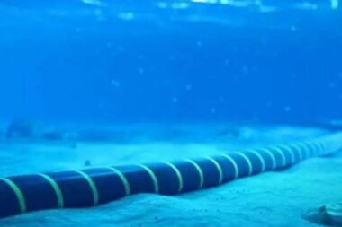 Un nouveau câble sous-marin pour renforcer les connexions entre la Nouvelle-Calédonie et le Vanuatu