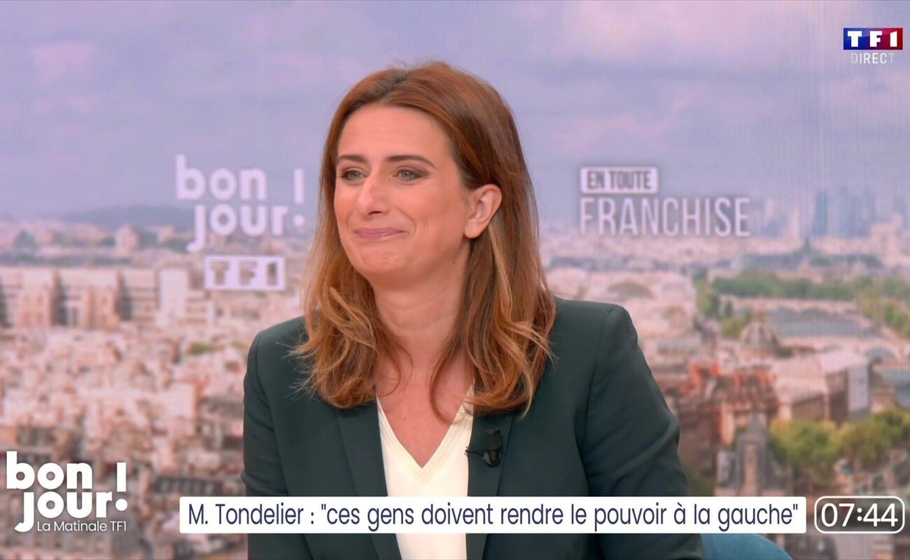 Marine Tondelier enceinte : la secrétaire nationale des Écologistes annonce une grossesse après des fausses couches et une PMA infructueuse