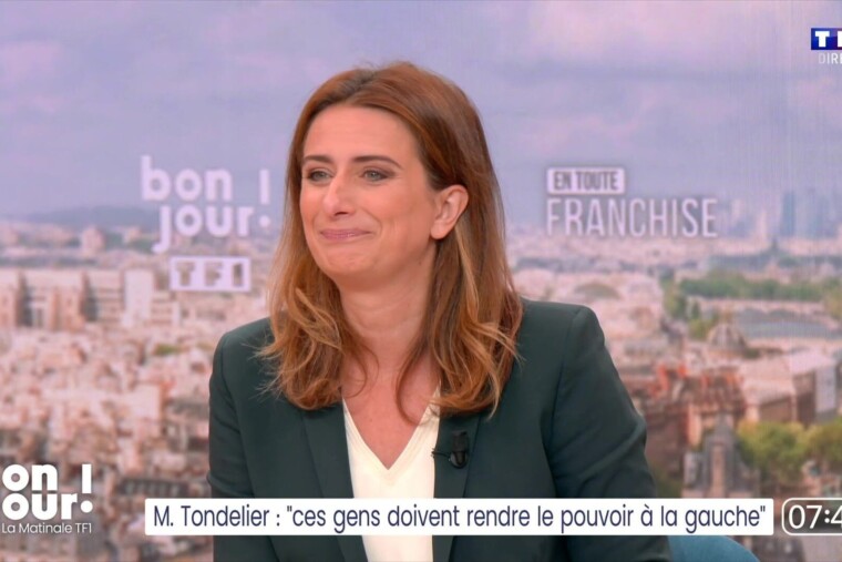 Marine Tondelier enceinte : la secrétaire nationale des Écologistes annonce une grossesse après des fausses couches et une PMA infructueuse