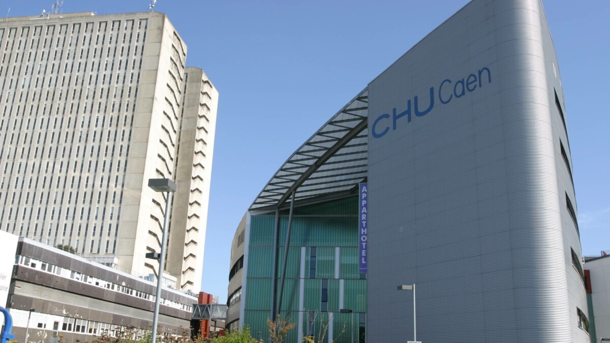 À Caen, des soignantes ukrainiennes viennent apprendre une thérapie brève face au choc de la guerre