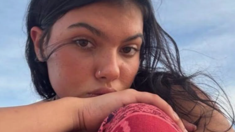 Australie : une touriste de 19 ans meurt après une attaque de dingos