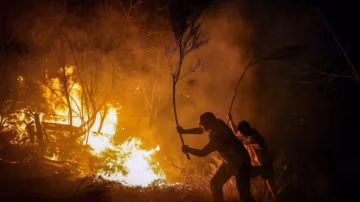Climat : l’Europe jugée insuffisamment préparée face à la montée des feux de forêt