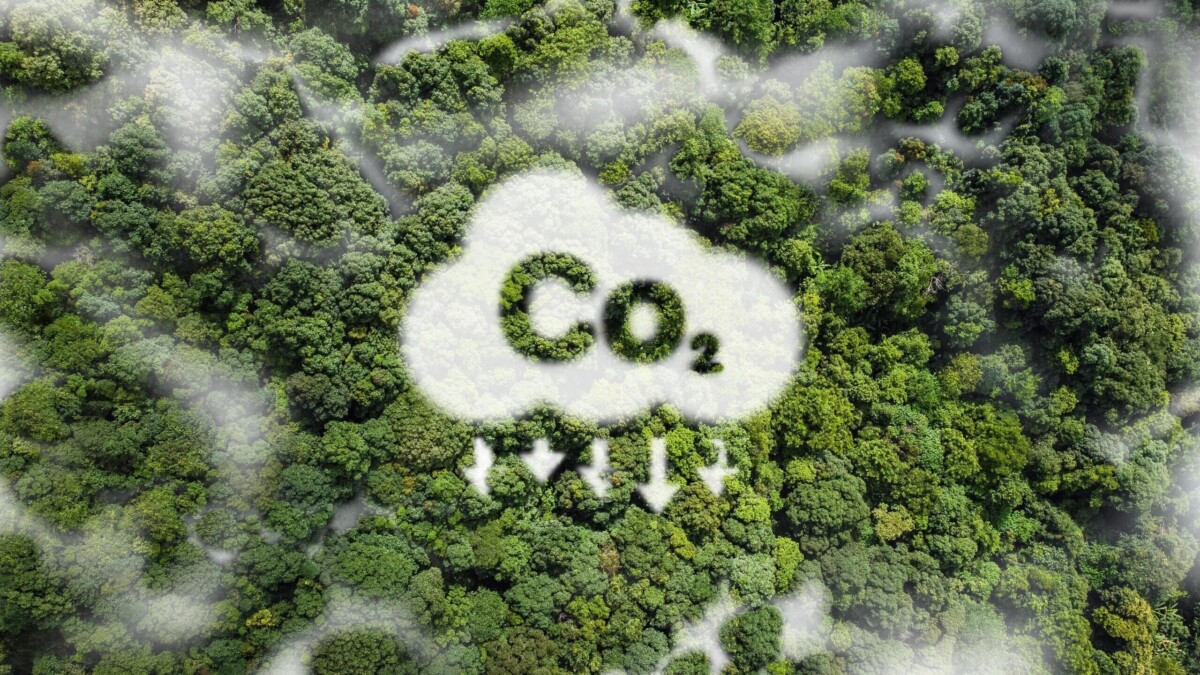 CO₂ emissions: who really has to pay the global bill?