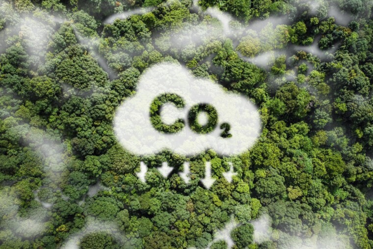 CO₂ emissions: who really has to pay the global bill?