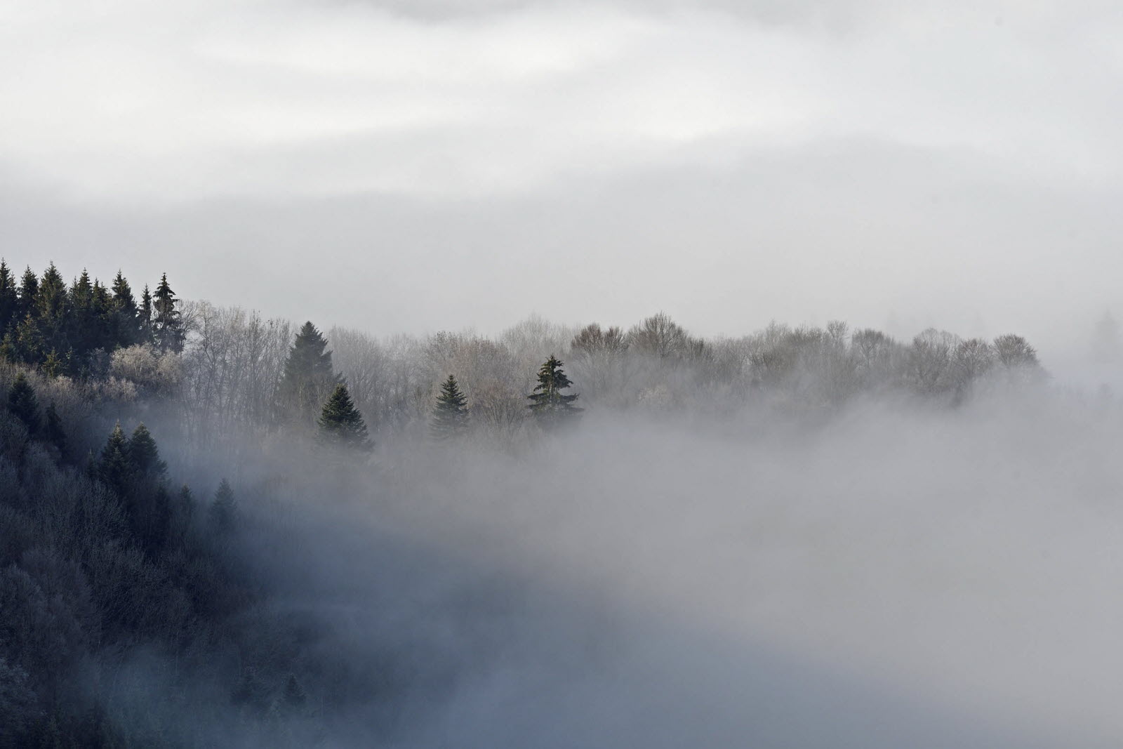 Morning fog followed by sunshine returning to France