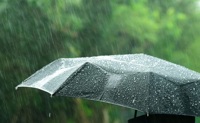 IMG_1915 Météo : retour de la pluie sur une grande partie de la France ce mercredi