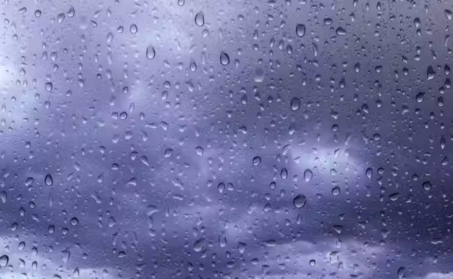 IMG_1941 Météo : retour de la pluie et du vent ce vendredi avant l’arrivée de l’air froid