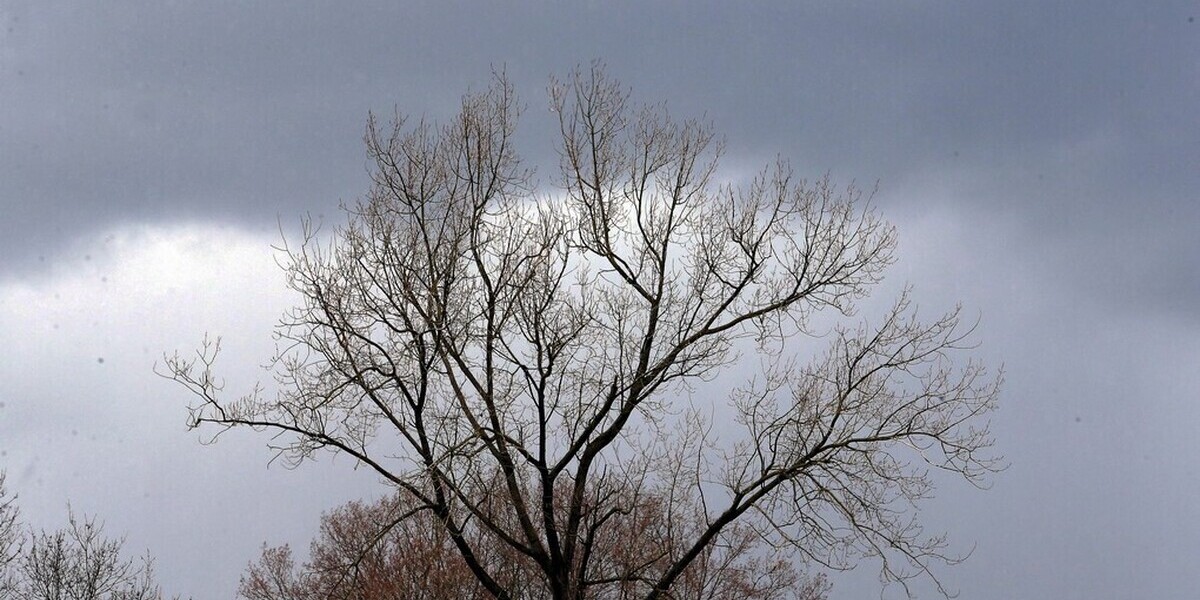 Illustration picture shows a cloudy sky, Sunday 10 March 2019, in Lierde. Code Orange is been issued for Antwerp and West and East-Flanders province as winds are reaching speeds of 120km/h.
BELGA PHOTO NICOLAS MAETERLINCK