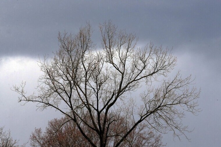 Illustration picture shows a cloudy sky, Sunday 10 March 2019, in Lierde. Code Orange is been issued for Antwerp and West and East-Flanders province as winds are reaching speeds of 120km/h.
BELGA PHOTO NICOLAS MAETERLINCK