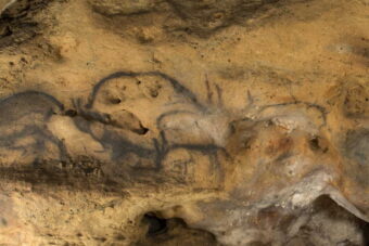 Font-de-Gaume : des peintures préhistoriques datées directement pour la première fois