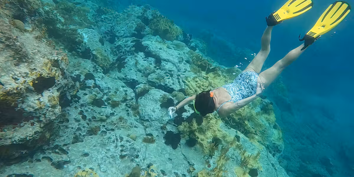 Les îles des Caraïbes veulent lever 200 millions de dollars pour protéger la biodiversité