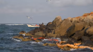 Mexique : une marée noire liée à un pétrolier et à des fuites naturelles, selon la marine