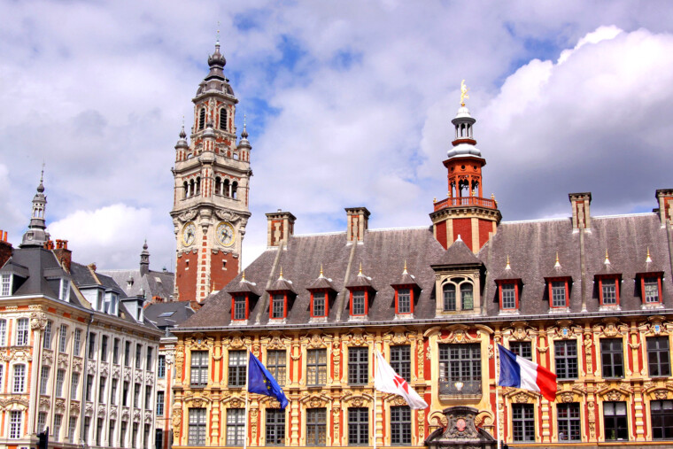 Municipales Lille : socialistes et LFI courtisent les écologistes pour le second tour