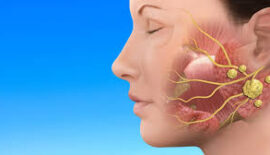 SANTÉ - Quand les glandes salivaires deviennent un indicateur clé de la santé bucco-dentaire